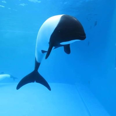 5150euphoria's profile picture. FP1級と宅建を持ってる保険のプロの写真垢