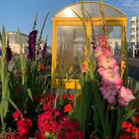 Worthing Town Centre (@worthingtci) 's Twitter Profile