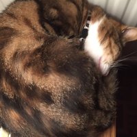Roberta Anderson [Dr] (@bobbyatbath) 's Twitter Profile Photo