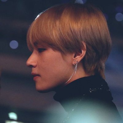 BTS💜⁷⟭⟬ ⟬⟭ 🐋2025 Profile