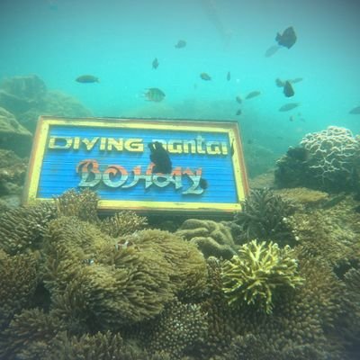Yoyon19884678's profile picture. pecinta traveling