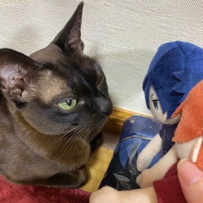 mnmn0806's profile picture. 