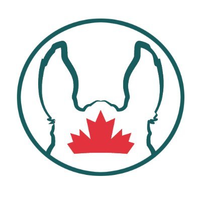 HorseCanada Profile Picture