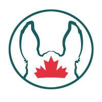 Horse Canada(@HorseCanada) 's Twitter Profile Photo