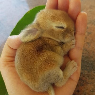 Nevillj's profile picture. 