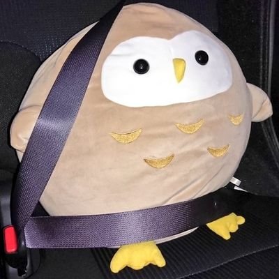 唐揚げいくたすさんのプロフィール画像