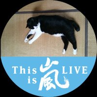 さーちゃん(@3104Kanakana) 's Twitter Profile Photo