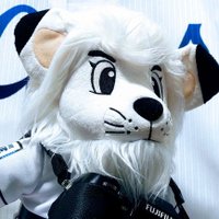 🦁かしざくら (@kashi_yakyu) 's Twitter Profile Photo 🦁かしざくら (@kashi_yakyu) 's Twitter Profile Photo