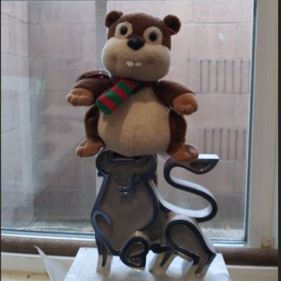 Randy_TML_IPO's profile picture. Position, Swing, and IPO trader.  🏄‍♂️🌊🚀🍀🍀🍀🍀🍀💲📈