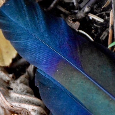 reader & writer | (occasional) photographer & artist | GISH | 💚💙 | 18+