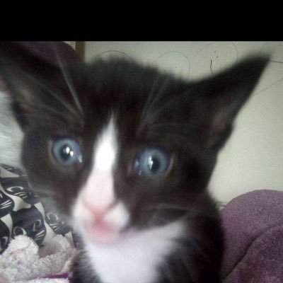 Recoveryandfree's profile picture. Being a Manchester United fan