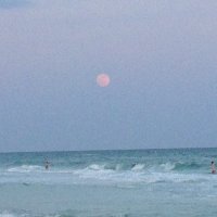 Lisa Adams (@lisa_adams28) 's Twitter Profile