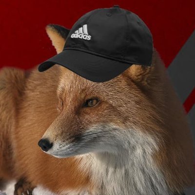 camfoxxo's profile picture. furry 'puter and language fox | has a mountain of morsels of miscellaneous knowledge | does not really twitter at all | any animate pronouns