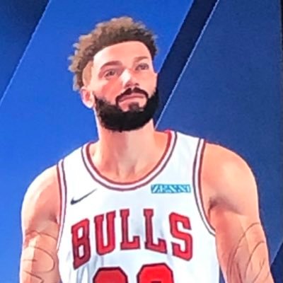 Bulls Fan