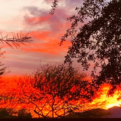 BrianZuluboy's profile picture. Physician and Surgeon