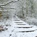 Cheshire Weather (@wilmslowweather) Twitter profile photo Cheshire Weather (@wilmslowweather) Twitter profile photo