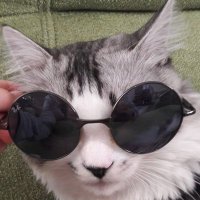 Özgür Köprülü (@justwatchcanary) 's Twitter Profile Photo Özgür Köprülü (@justwatchcanary) 's Twitter Profile Photo
