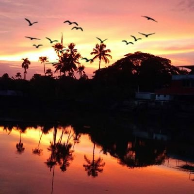 Nishh23312902's profile picture. lone crusader .