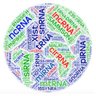 ncRNAworld's profile picture. Our purpose is to share data, new publications, to organise journal clubs and discussions on #ncRNA #mitochondrial and #cellular #signaling.