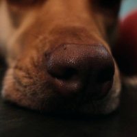 Barraso (@barraso_) 's Twitter Profile