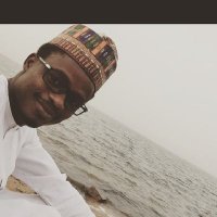 Abdulsalam Elnafaty (@elnafatyabdul) 's Twitter Profile