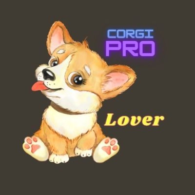Look at me #CorgiCrew #Corgi #Animal #Dog #Pet