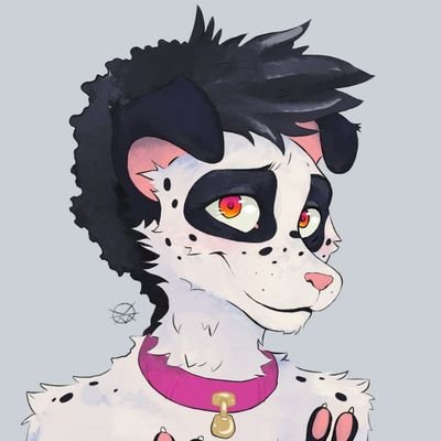 Spottyboyさんのプロフィール画像