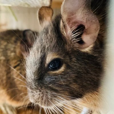 Epion6Epion's profile picture. 