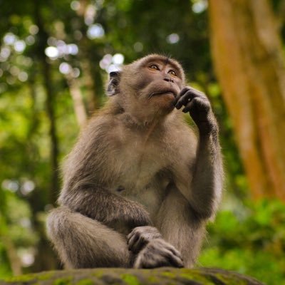 thatwouldbecool's profile picture. 