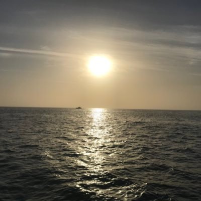 stegregory's profile picture. .My tweets are my own.