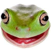 OSFrog eSports (@osfrog_esports) 's Twitter Profile
