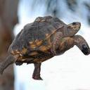 Zach Ladd - @Flek_is_Rad - Twitter