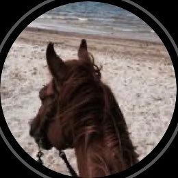 malaseeri_'s profile picture. Maryam A