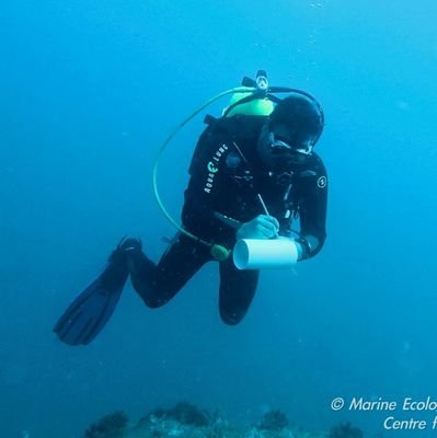 PhD on Marine Biology, professor from Centre for Environmental Sciences and PI in @lecomarufsb. Enthusiastic diver and nature lover.