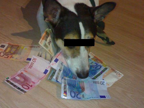 lukkybuzz's profile picture. MAKES MUSIC FOR FUN ....for now...maybe u can change IT ..
TECHNO/DRUM&BASS/HOUSE/OLDSCHOOL
HVT ODK CREW 
BE ORIGINAL