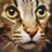 猫QUEEN avatar