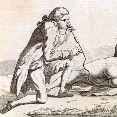 DrivingMim's profile picture. 