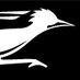 Road Runners Oaxaca (@roadrunnersoax) Twitter profile photo Road Runners Oaxaca (@roadrunnersoax) Twitter profile photo