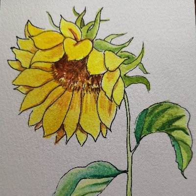 TQZNQE8D94egRoU's profile picture. 无事且静坐，有福方读书