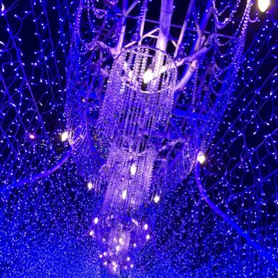 raise191951661's profile picture. 遠方のためインパ頻度少ないですが仲良くしてくれると嬉しいです☺️夏になるとインパ頻度増えます！無言フォローすみません🙇‍♀️20↑ 🚺#USJファン