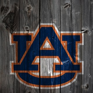 tsbramlett's profile picture. 