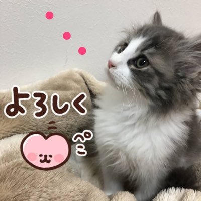 yuki_yoshi1221 Profile Picture