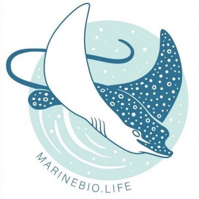 'So You Want to Be a Marine Biologist' Podcast - Interviews with ocean conservationists on marine science & ocean careers