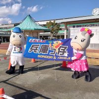 がんば (@gambacity) 's Twitter Profile Photo