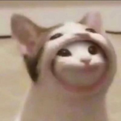 bmwils21's profile picture. 