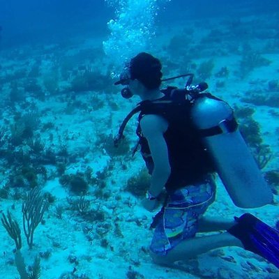 connorhollasch's profile picture. co-founder @branch_gg