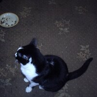 Gill Sewell (@electricblueuk) Twitter profile photo