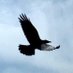 OnWingsOfWords (@onwingsofwords) Twitter profile photo OnWingsOfWords (@onwingsofwords) Twitter profile photo