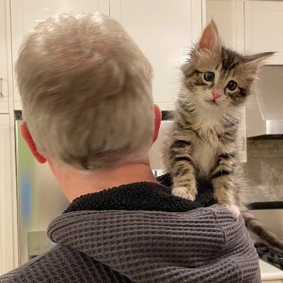 Dad. Husband. British/American. Live in Berkeley. Ex-Twitter, Palm/WebOS, .NET card & Javacard. Embedding software in the world. Currently https://t.co/SuWSOIbp6h