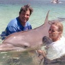 June Hammer - @sharkb82 - Twitter